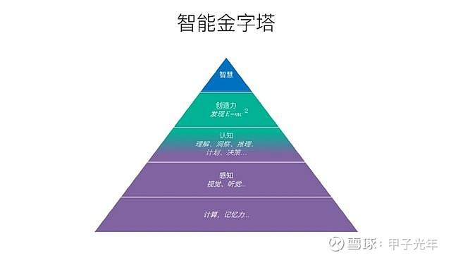 小牛队新晋球员崭露头角，成为球队未来发展的重要力量？